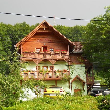 Vila Anna Sovata Ngoại thất bức ảnh