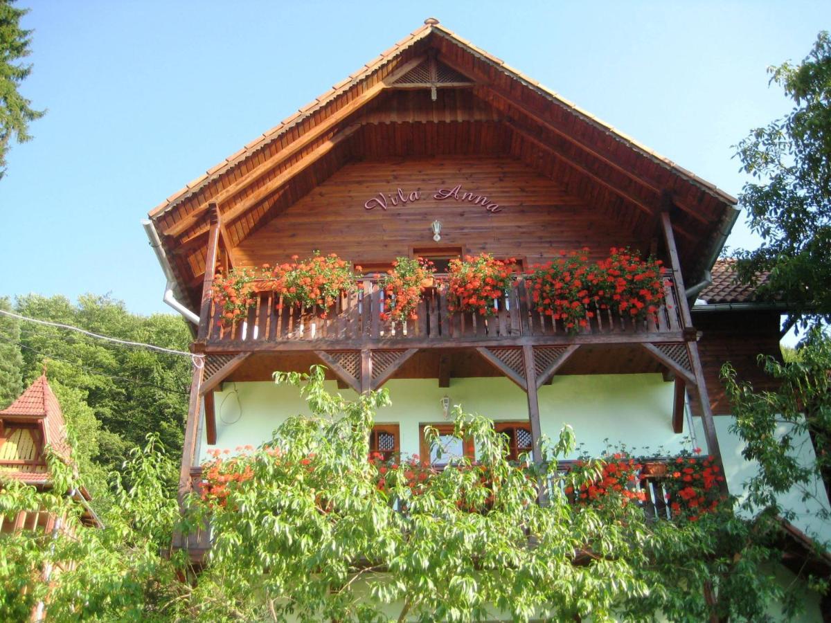 Vila Anna Sovata Ngoại thất bức ảnh